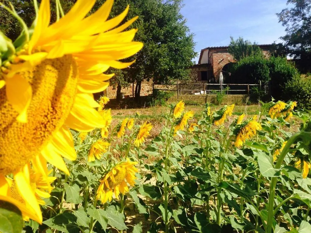 Poggio Cantarello Vacanze Chiusi Alloggio per agriturismo